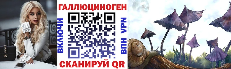Галлюциногенные грибы ЛСД  Купить где  Боготол 